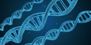Gli effetti di un trauma si possono ereditare per via genetica?