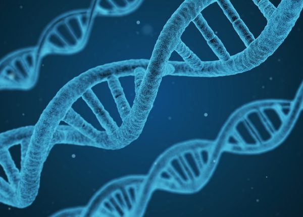 Gli effetti di un trauma si possono ereditare per via genetica?