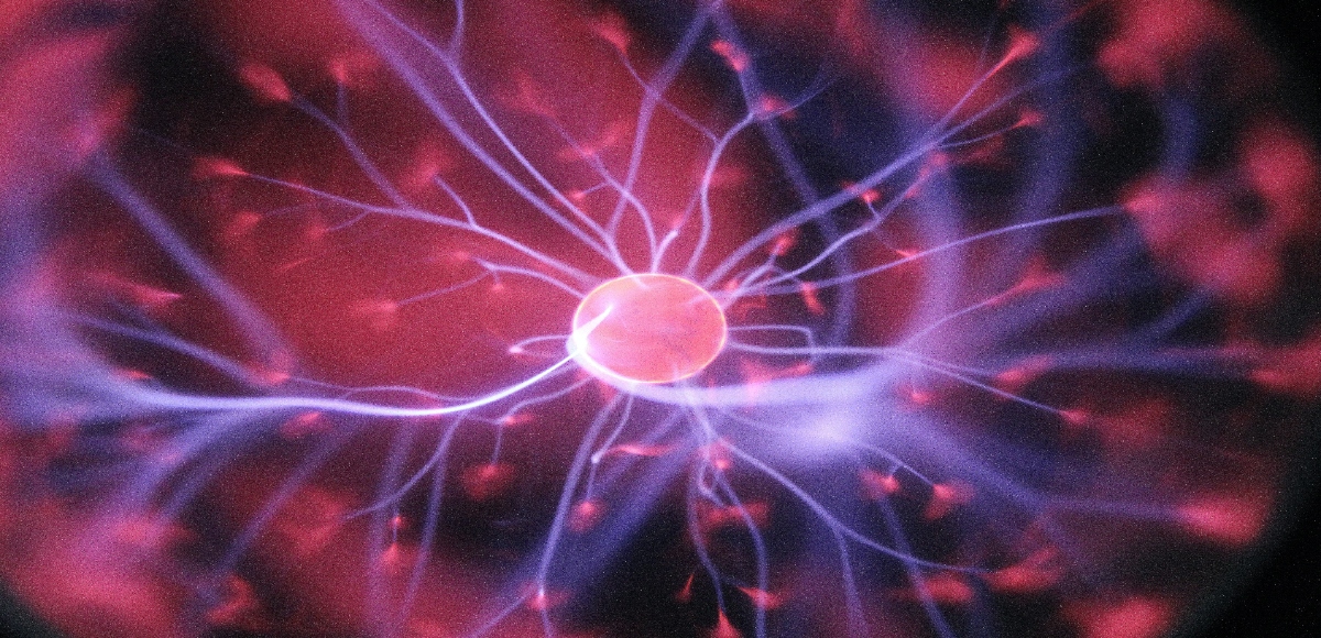 Le sinapsi e le loro funzioni psicologiche