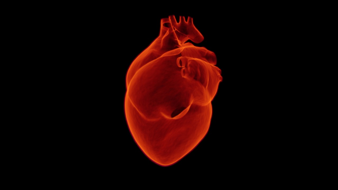 Cardiofobia: come liberarsi dalla paura di un attacco cardiaco